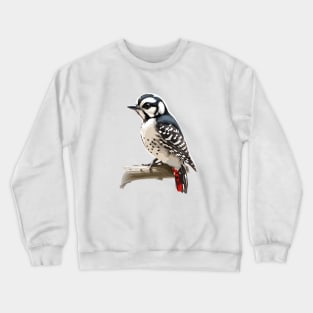 Downy Woodpecker Standing on Branch Crewneck Sweatshirt